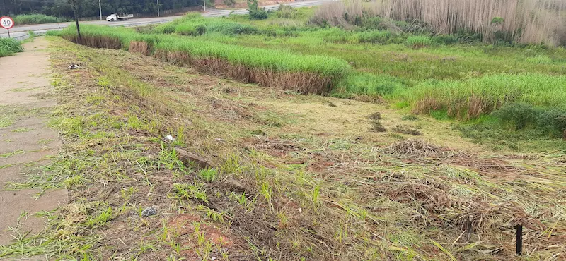 Área do terreno após a roçagem, com o mato alto já cortado e espalhado no solo.