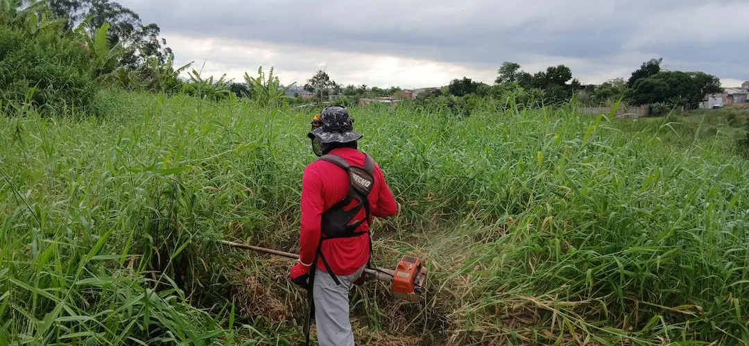 Serviço de roçagem e limpeza de terreno realizado pela nossa equipe